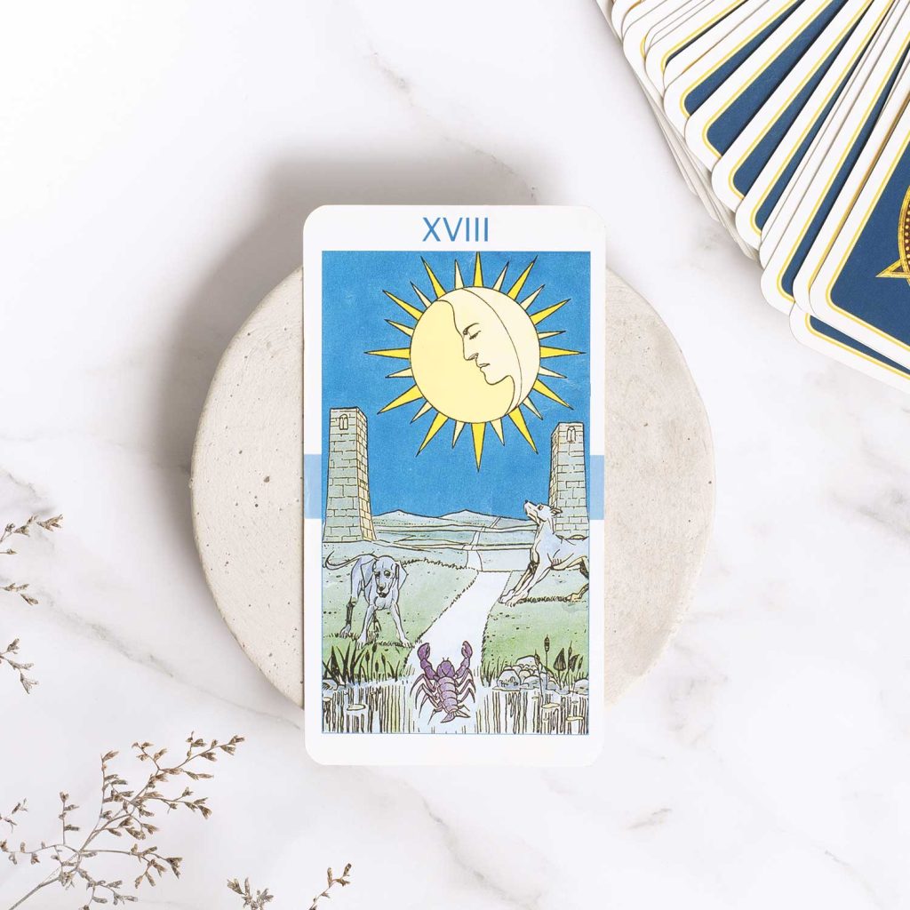 Items contactanos (1)